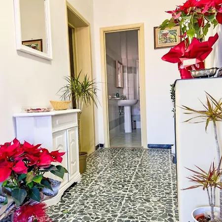 Ambra By Interhome Apartment Santa Luce